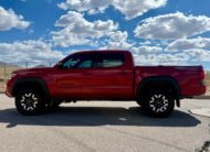 2019 Toyota Tacoma Double Cab TRD Premium